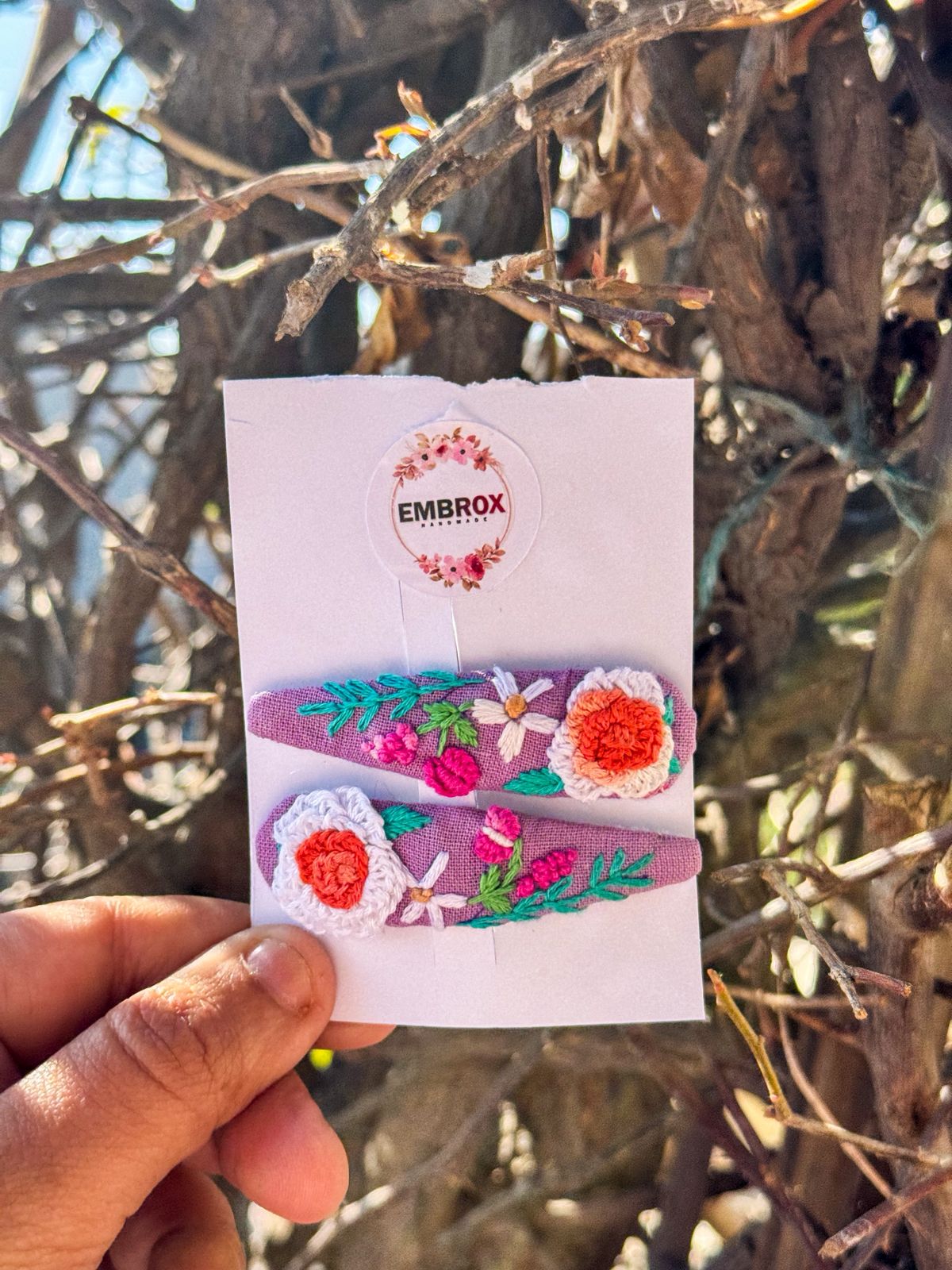 Driftwood & Daydreams